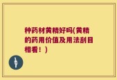 种药材黄精好吗(黄精的药用价值及用法刮目相看！)