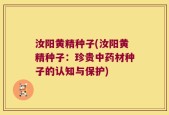 汝阳黄精种子(汝阳黄精种子：珍贵中药材种子的认知与保护)
