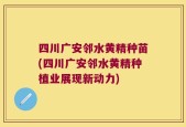 四川广安邻水黄精种苗(四川广安邻水黄精种植业展现新动力)