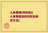 人参黄精(桦树菇)(人参黄精汤的功效及制作方法)