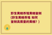 野生黄精养殖黄精鉴别(野生黄精养殖 如何鉴别高质量的黄精？)