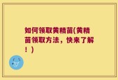 如何领取黄精苗(黄精苗领取方法，快来了解！)