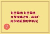 旬邑黄精(旬邑黄精：开发保健功效，具有广阔市场前景的中草药)