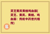 灵芝黄芪黄精鸡血藤(灵芝、黄芪、黄精、鸡血藤：传统中药世代相传)