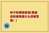 样子和黄精很像(黄精近似植物是什么求解答案！)