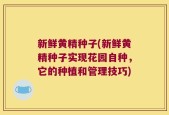 新鲜黄精种子(新鲜黄精种子实现花园自种，它的种植和管理技巧)