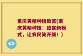 重庆黄精种植致富(重庆黄精种植：致富新模式，让农民笑开颜！)