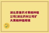 湖北恩普药才黄精种植公司(湖北药材公司扩大黄精种植规模