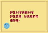 野生10年黄精10年野生黄精：珍贵草药带来好处)