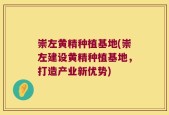 崇左黄精种植基地(崇左建设黄精种植基地，打造产业新优势)