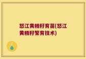 怒江黄精籽育苗(怒江黄精籽繁育技术)