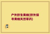 户外野生黄精(野外探寻黄精天然草药)