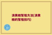 滇黄精繁殖方法(滇黄精的繁殖技巧)