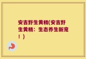 安吉野生黄精(安吉野生黄精：生态养生新宠！)