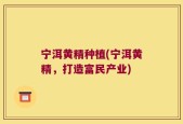 宁洱黄精种植(宁洱黄精，打造富民产业)