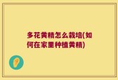 多花黄精怎么栽培(如何在家里种植黄精)