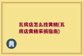 瓦房店怎么找黄精(瓦房店黄精采摘指南)