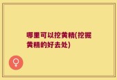 哪里可以挖黄精(挖掘黄精的好去处)