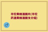 华佗黄精酒图片(华佗药酒黄精酒图文介绍)