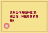 贵州合作黄精种植(贵州合作：种植珍贵的黄精)
