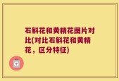 石斛花和黄精花图片对比(对比石斛花和黄精花，区分特征)