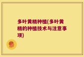 多叶黄精种植(多叶黄精的种植技术与注意事项)