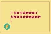 广东野生黄精种类(广东发现多种黄精新物种)