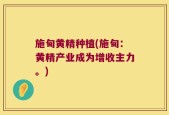 施甸黄精种植(施甸：黄精产业成为增收主力。)