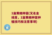 1亩黄精种苗(又名金线莲，1亩黄精种苗种植技巧和注意事项)