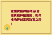 重楼黄精种植种苗(重楼黄精种植苗圃，助你成功开创富民致富之路)