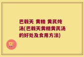 巴戟天 黄精 黄芪炖汤(巴戟天黄精黄芪汤的好处及食用方法)