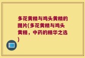 多花黄精与鸡头黄精的图片(多花黄精与鸡头黄精，中药的精华之选)