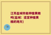 江苏盐城市能种植黄精吗(盐城：适宜种植黄精的地方)