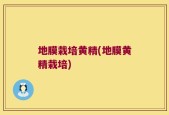 地膜栽培黄精(地膜黄精栽培)