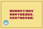 朝阳黄精种子(朝阳市黄精种子销售遇瓶颈，农民转产跑路寻销路)