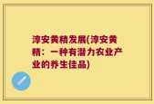 淳安黄精发展(淳安黄精：一种有潜力农业产业的养生佳品)