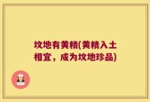 坟地有黄精(黄精入土相宜，成为坟地珍品)