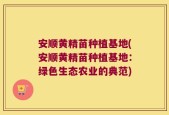 安顺黄精苗种植基地(安顺黄精苗种植基地：绿色生态农业的典范)