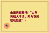 山东黄精基地(“山东黄精大丰收，助力农民增收致富”)
