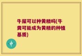 牛屎可以种黄精吗(牛粪可能成为黄精的种植基质)