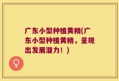 广东小型种植黄精(广东小型种植黄精，呈现出发展潜力！)