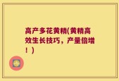 高产多花黄精(黄精高效生长技巧，产量倍增！)