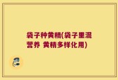 袋子种黄精(袋子里混营养 黄精多样化用)