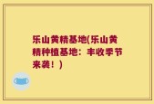 乐山黄精基地(乐山黄精种植基地：丰收季节来袭！)