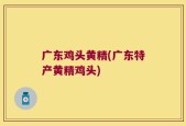 广东鸡头黄精(广东特产黄精鸡头)