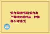 烟台黄精种苗(烟台出产黄精优质种苗，种植者不可错过)