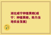 湖北咸宁种植黄精(咸宁：种植黄精，助力当地农业发展)