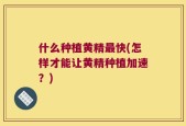 什么种植黄精最快(怎样才能让黄精种植加速？)