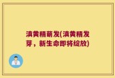 滇黄精萌发(滇黄精发芽，新生命即将绽放)