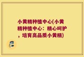 小黄精种植中心(小黄精种植中心：精心呵护，培育高品质小黄精)